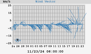 Wind Vector